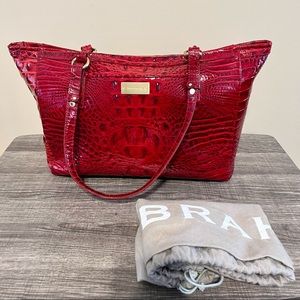Cute Red Brahmin Tote!
